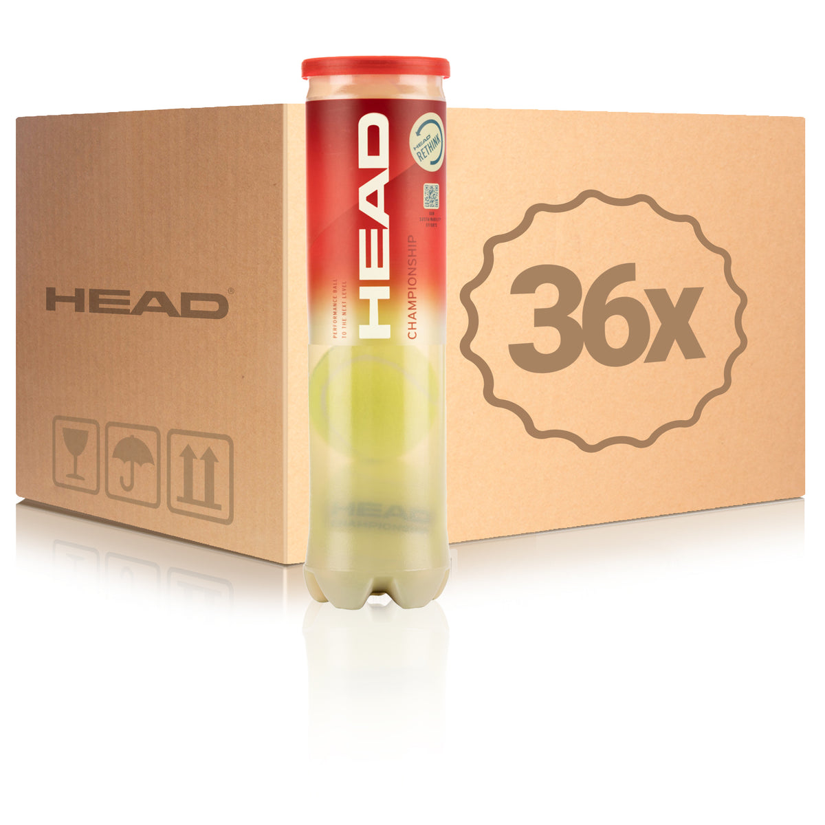 HEAD 36 botes de 4 pelotas Championship En caja HEAD 36 botes de 4 pelotas Championship En caja