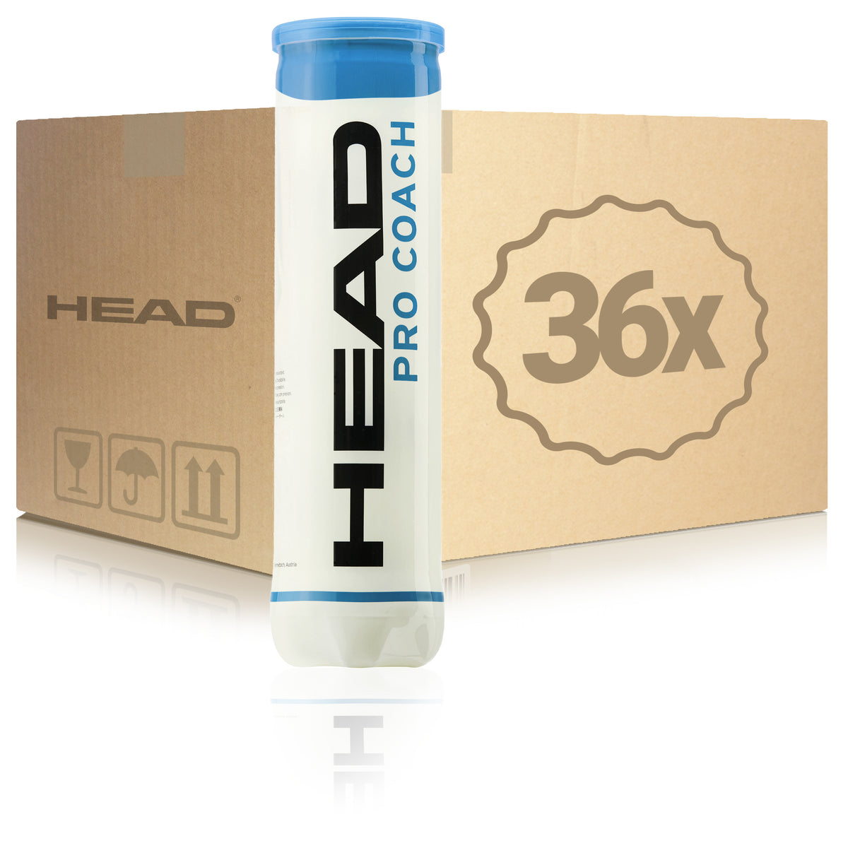 HEAD 36 botes de 4 pelotas Pro Coach En caja HEAD 36 botes de 4 pelotas Pro Coach En caja