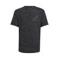 gris oscuro_9384