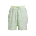 Ergo 7Inch Shorts Hombres-verde claro, plateado