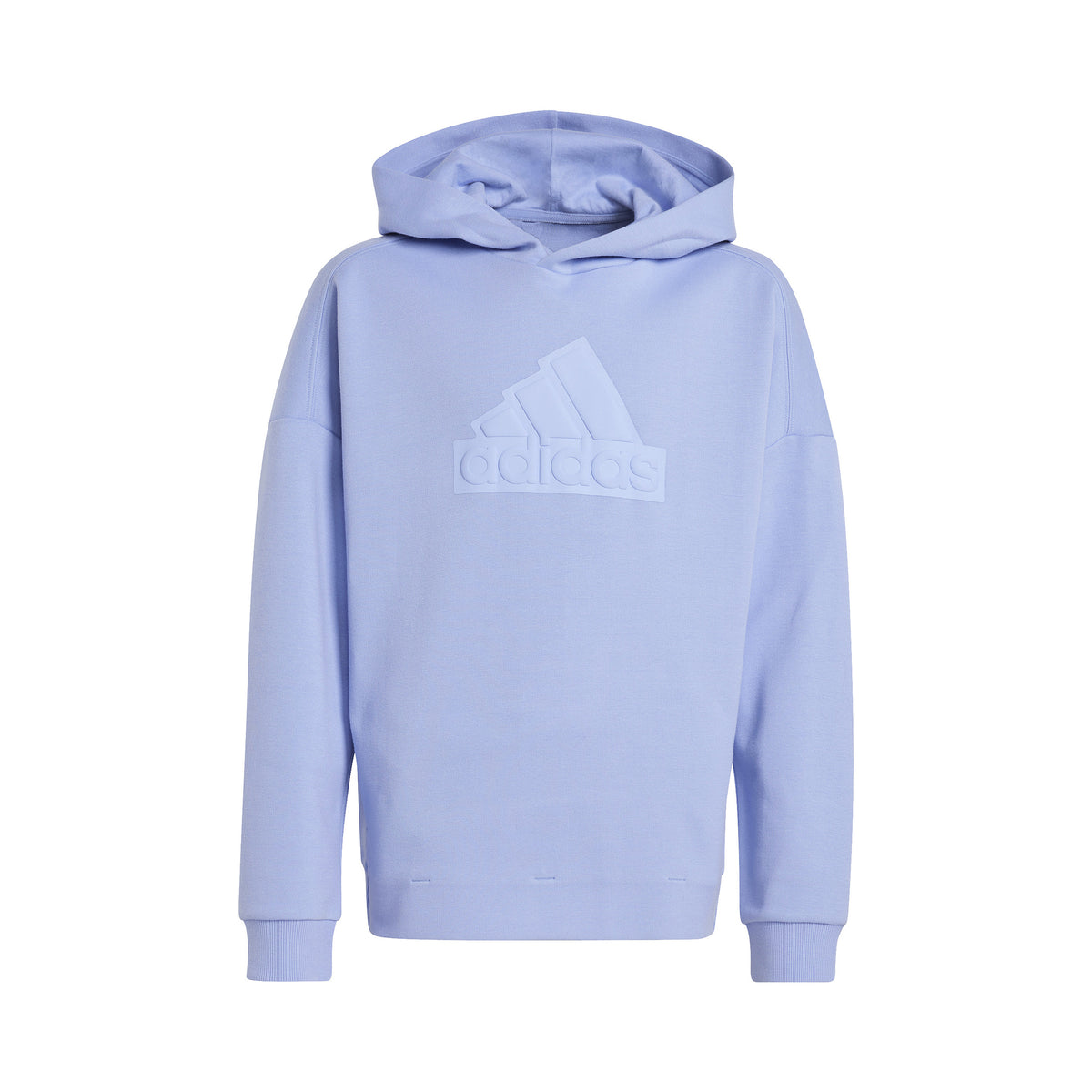 adidas Future Icon Logo Sudadera con capucha Chicos - azul claro,