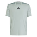D4T Intensity Camiseta de manga corta Hombres - salvia,