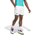 Ergo 7Inch Shorts Hombres-blanco