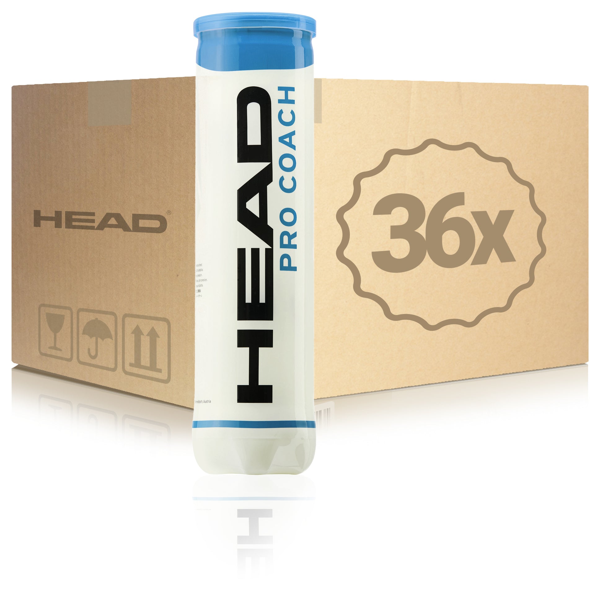 HEAD 36 botes de 4 pelotas Pro Coach En caja