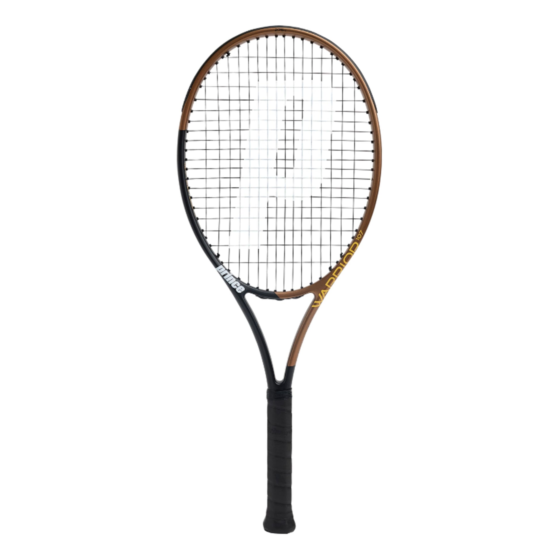 Prince Warrior 107