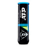 ATP Championship Bote de 4 pelotas