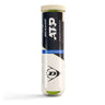 ATP Championship Bote de 4 pelotas
