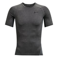 gris oscuro_9384