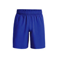 Woven Graphic Shorts Hombres - azul,