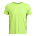verde_5828