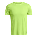 verde_5828