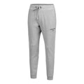 Logo Pantalón de entrenamiento Hombres - gris claro,