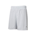 Run Favorite 2in1 Pantalones Cortos Hombres-Gris Claro