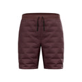 Zeroweight Insulator Pantalones cortos Hombres - marrón,