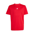 rojo_5692