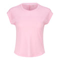 rosa_5798