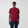 rojo vino_34765
