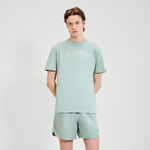 Ropa Ellesse Ellesse Quesco Camiseta De Manga Corta Hombres-Salvia