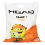 Pelotas de tenis HEAD HEAD Stage 2 Orange Bolsa De 72