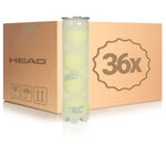 Pelotas De Tenis HEAD No.1 Trainer 4er