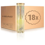 Pelotas De Tenis HEAD Tour 4er, 18 Dosen im Umkarton