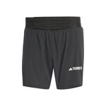 Ropa adidas Terrex Pro Short