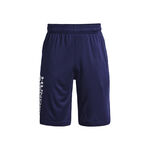 Ropa Under Armour Prototype 2.0 Wdmk Shorts