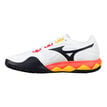 Mizuno