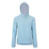 TEAM TERRY HOODIE SAGE Sudadera con capucha Unisex-azul claro