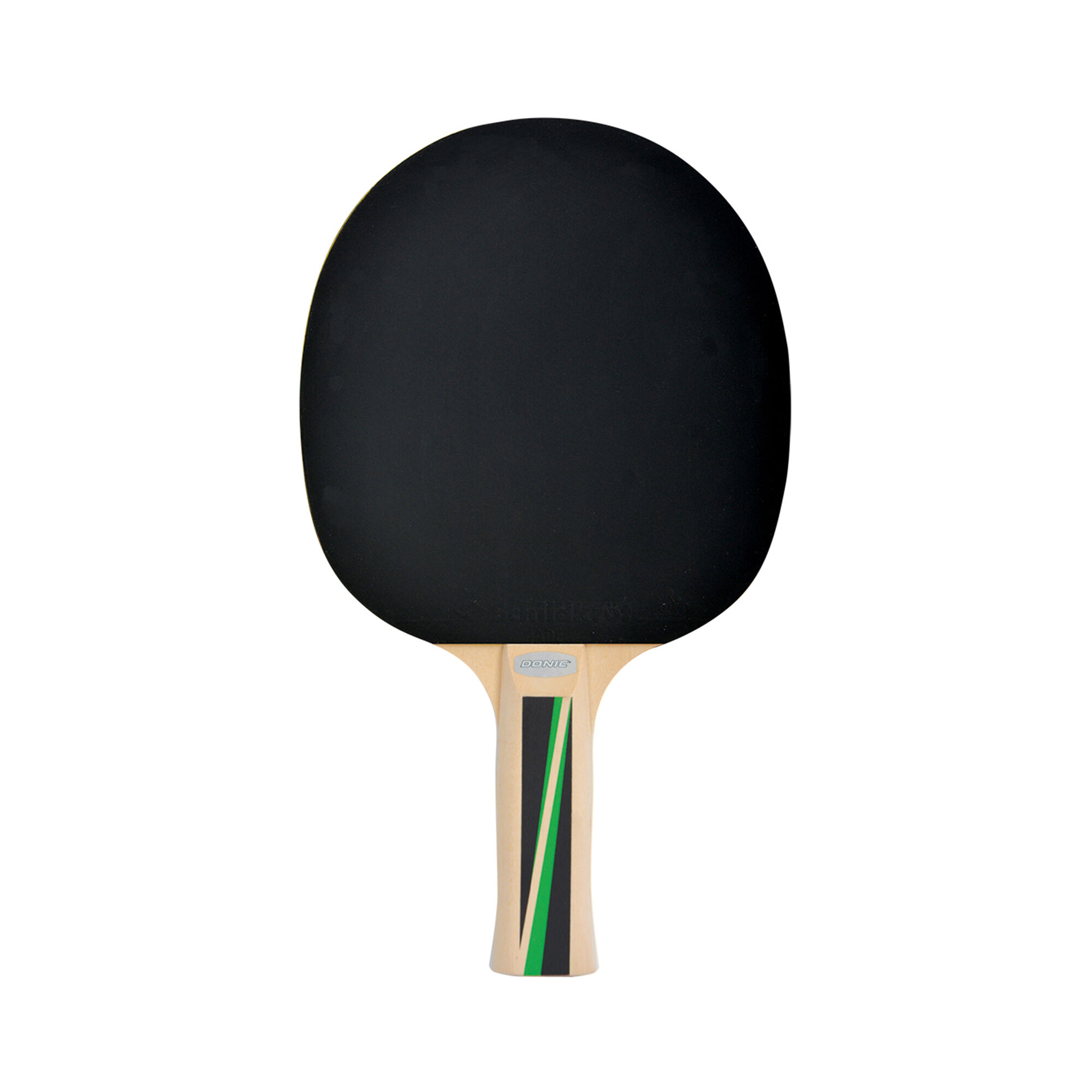 Schildkr&ouml;t Fitness