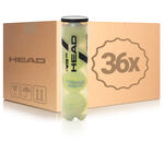Pelota presurizada HEAD HEAD WTB One Bote de 4 pelotas 