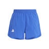 Teamwear Pantalones Cortos Ni&ntilde;os-Azul