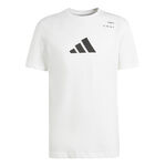 Ropa adidas M TNS CAT G T