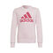 Believe This Sweatshirt