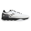 Mizuno