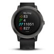 Garmin