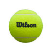 Wilson