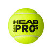 HEAD