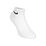 Everyday Cushioned Ankle 6P Socks