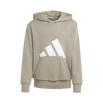 Ropa adidas Essentials Hoody