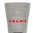 Falke