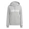 Essentials Linear Hoodie