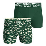 Ropa Björn Borg Cotton Stretch Boxer 2P