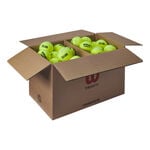 Pelotas De Tenis Wilson Triniti Club 72er Ballbox