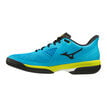 Mizuno