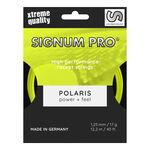 Cordajes De Tenis Signum Pro POLARIS 12m