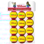 Pelotas De Tenis Wilson Starter Red Balls 12er Stage 3
