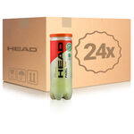 Bolas De Pádel HEAD Padel Team 3er 24 Dosen im Karton