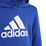 Big Logo Essentials Cotton Hoodie