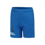 Ropa Under Armour Under Armour Tech Logo Shorts Chicos-Azul